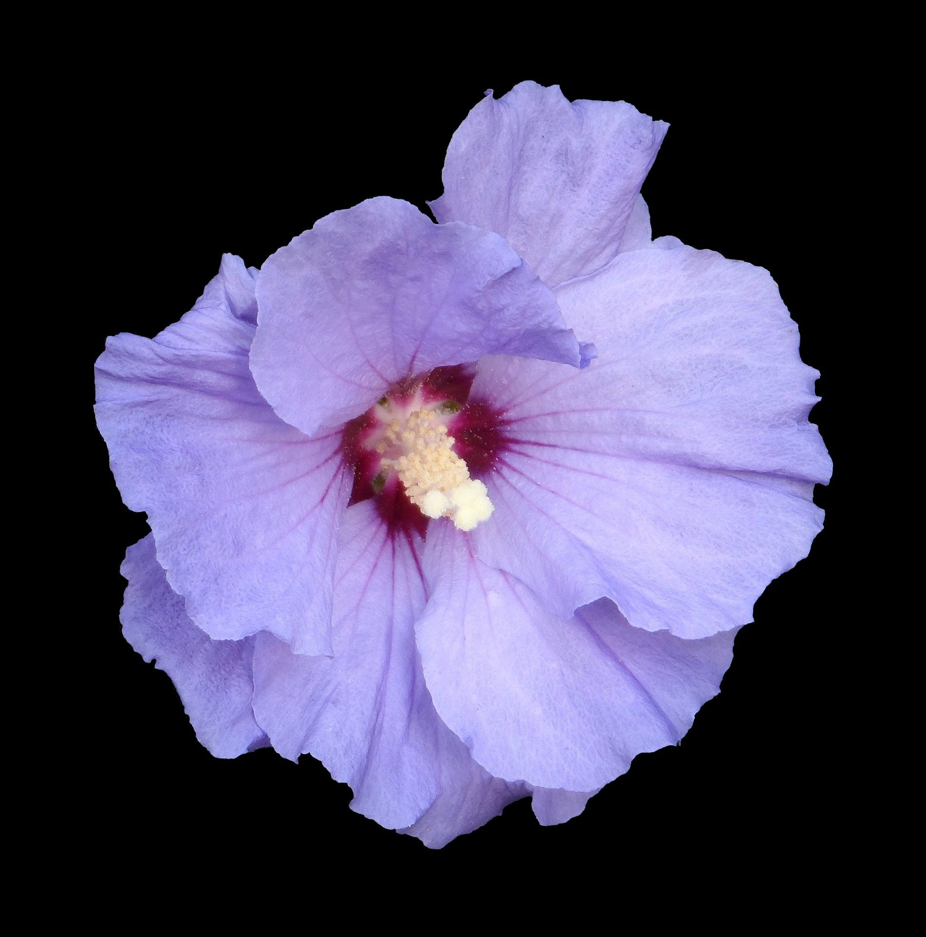 Image for post