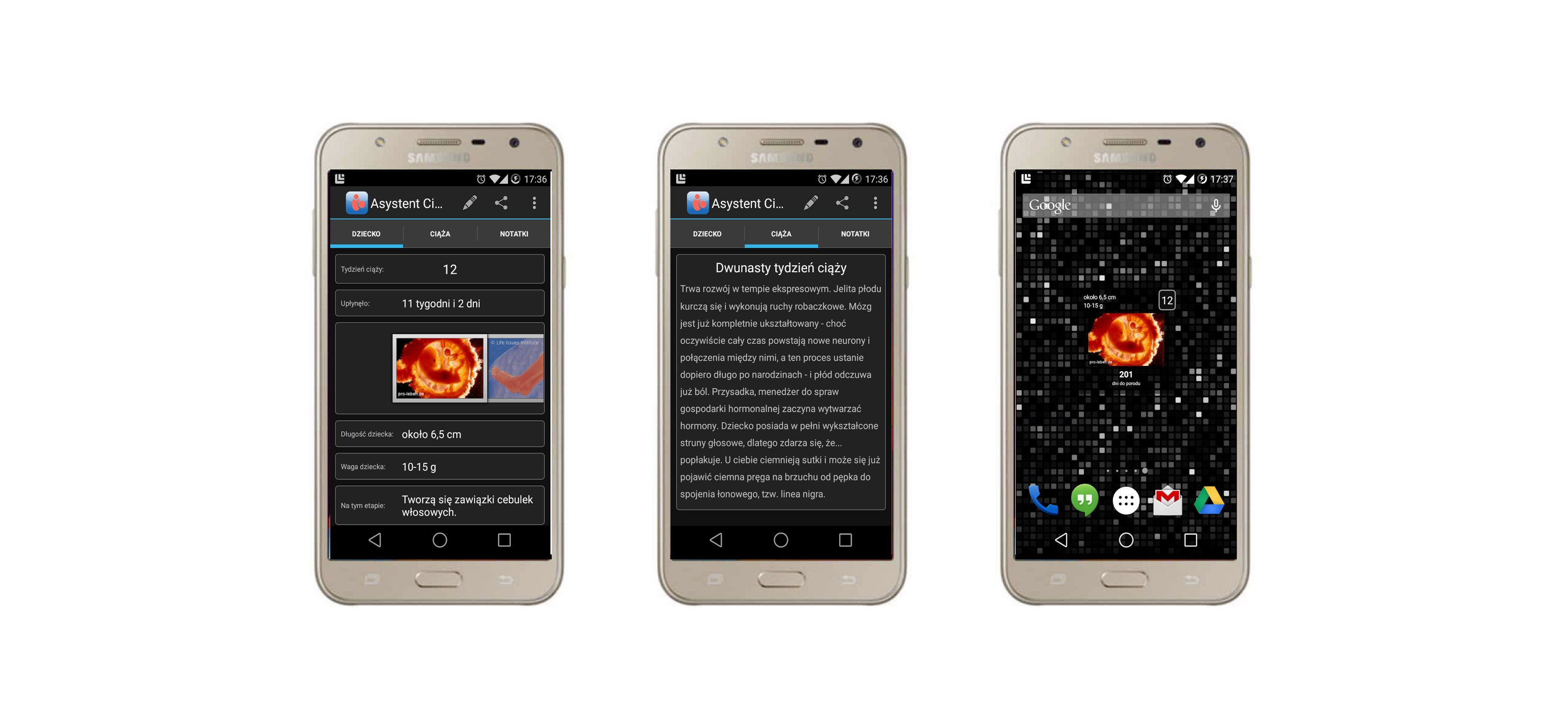 Android phone with screenshots of a pregnancy app