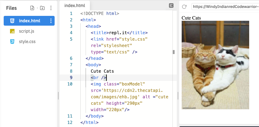 HTML code with <img> tag in Repl.it