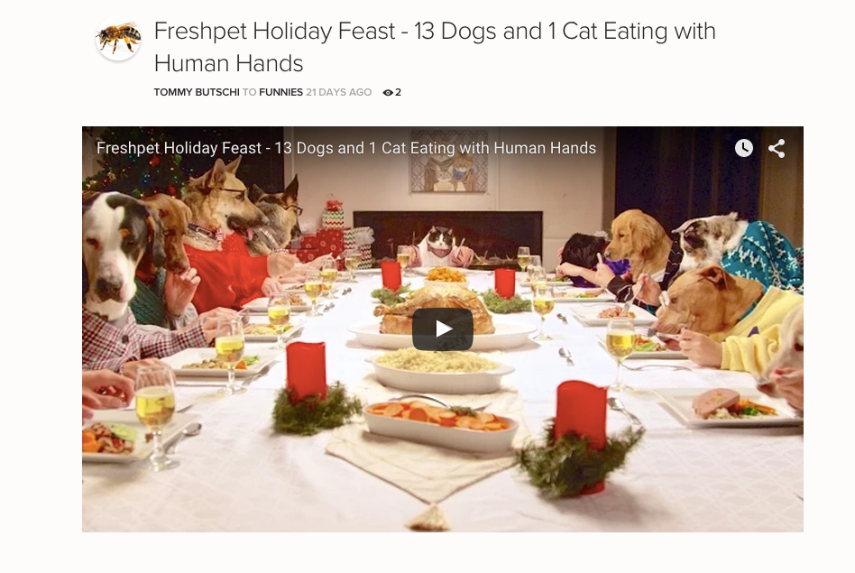 HowTo Use Honey groups to boost team culture by The Honey Team