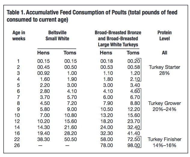 Broiler Daily Feed Intake Chart
