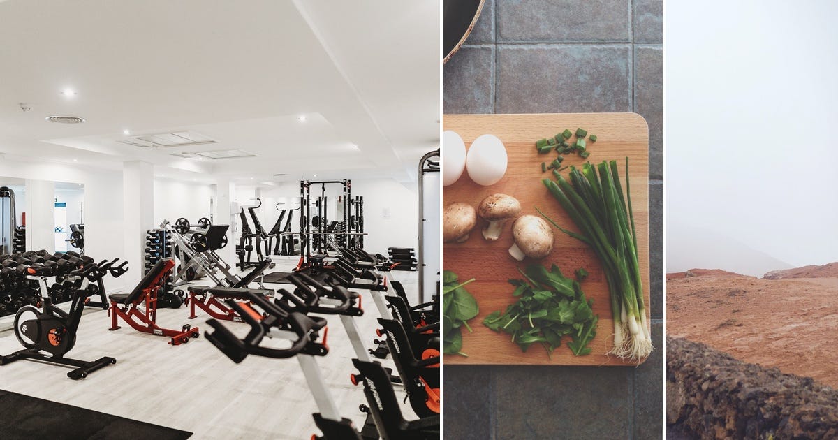 12 stories about Weight loss curated by Sue Bellingham Medium