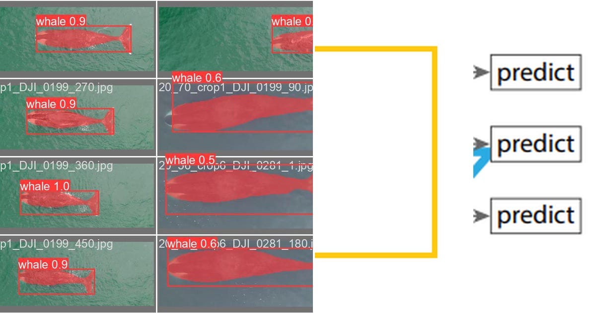 List: OBJECT DETECTION | Curated by Mike Puzitsky | Medium