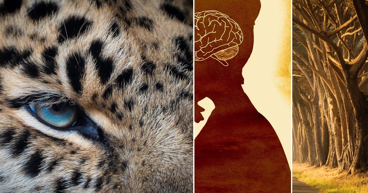 List Writing inspiration Curated by Elizabeth Silleck La Rue Medium