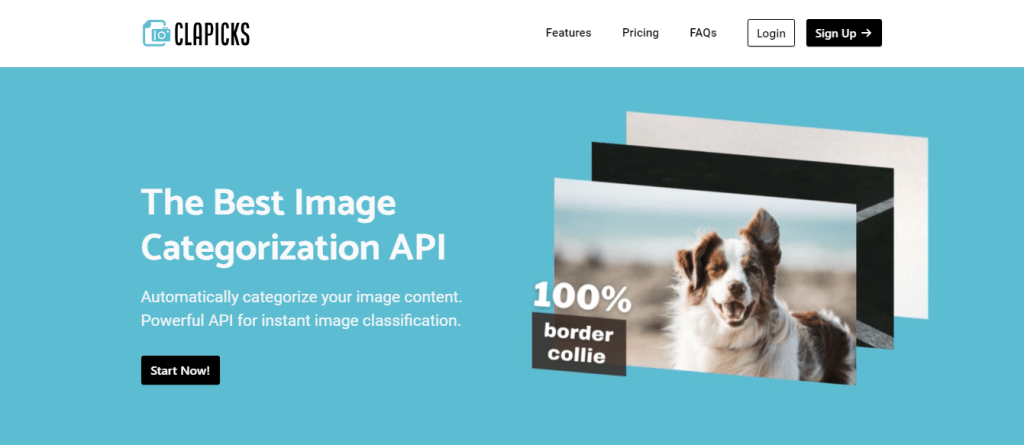 Automate The Process Of Classifying Large Collections Of Images With An API  