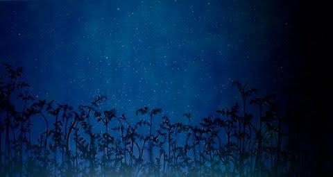 Susan Derges: Star Field – Bracken, 2008