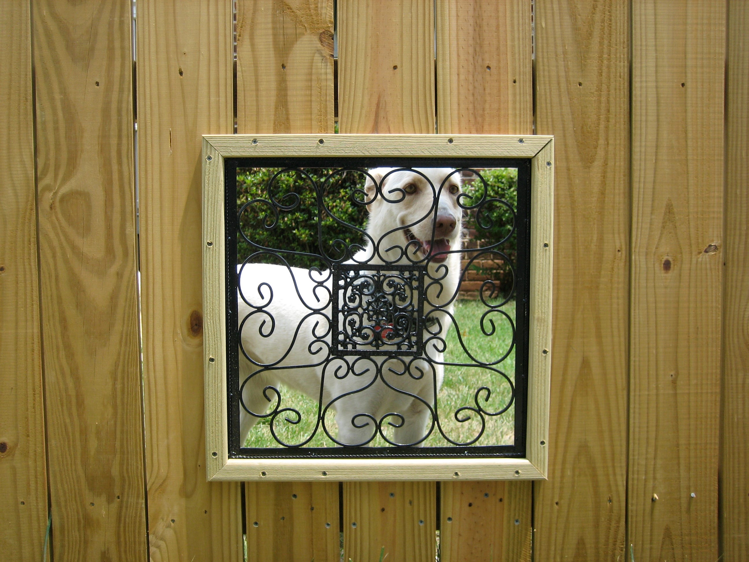 Fence windows by Kristin Kelly Medium