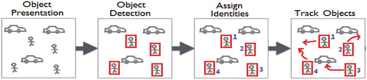 Object Tracking | Deep Learning | Computer Vision | VisionWizard