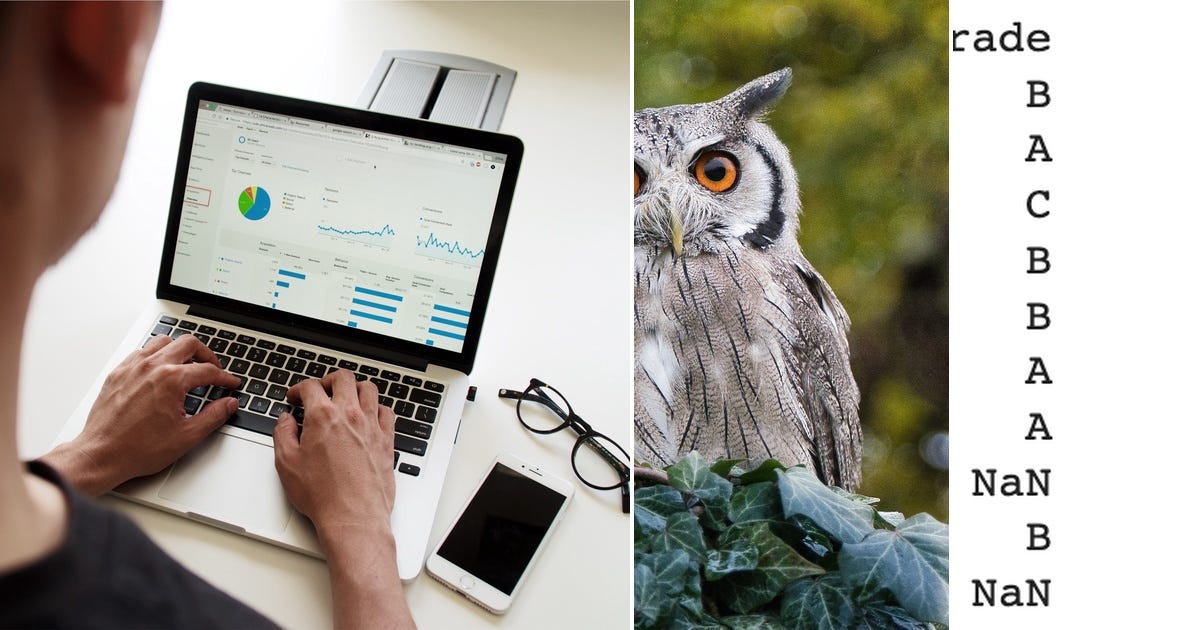 50+ stories about pandas curated by Robert Heinis - Medium