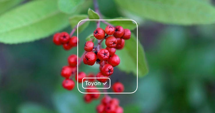 Lobe machine learning toyon 1200x630 5f96ba640f2e5 1024x538