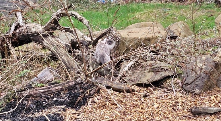 a pile of junk and Trash from litter bugs