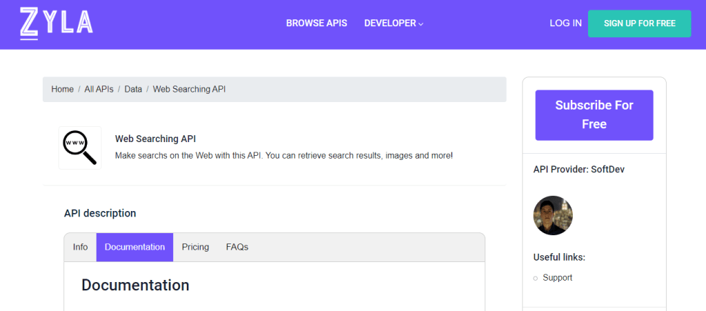 Use This Web Search Query API And Obtain Only Relevant Data For Your Projects  