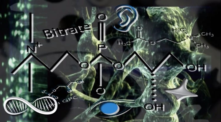 Choline a Neurotransmitter of Many Talents