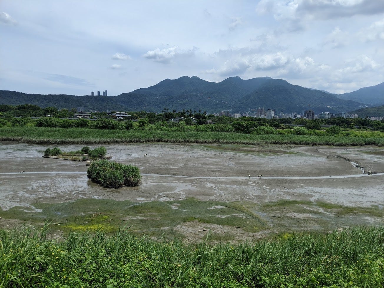 遊記 社子島濕地半日遊 端午連假 因為不想在國道上塞車 所以搜尋了離家距離不遠的旅遊景點 By Ddsakura Medium