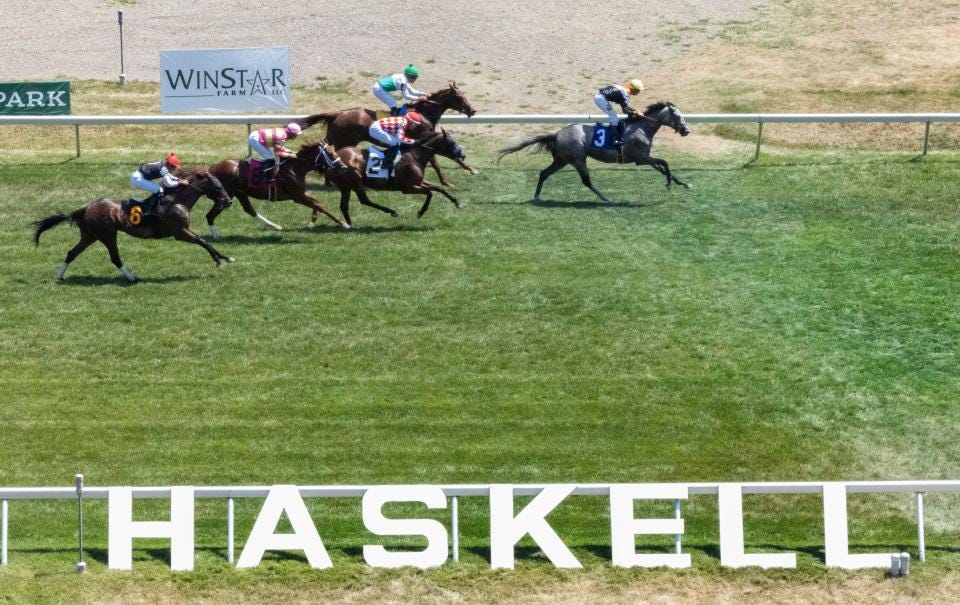 Cyberknife wins the Haskell for local owner Al Gold by SwaveSports