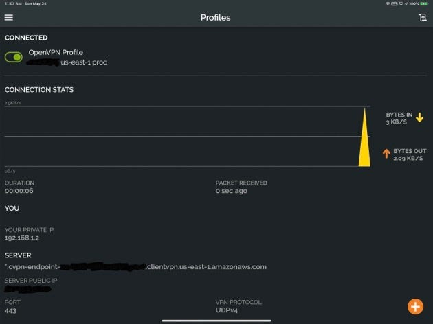 Activating and Monitoring the VPN Connection