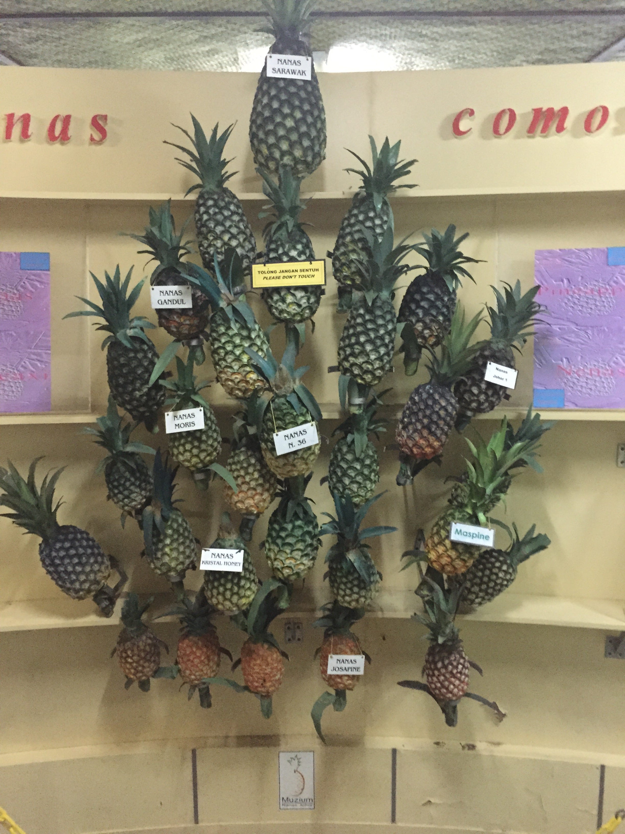 Malaysia — Johor Bahru — Muzium Nanas Pontian — The Pineapple Museum