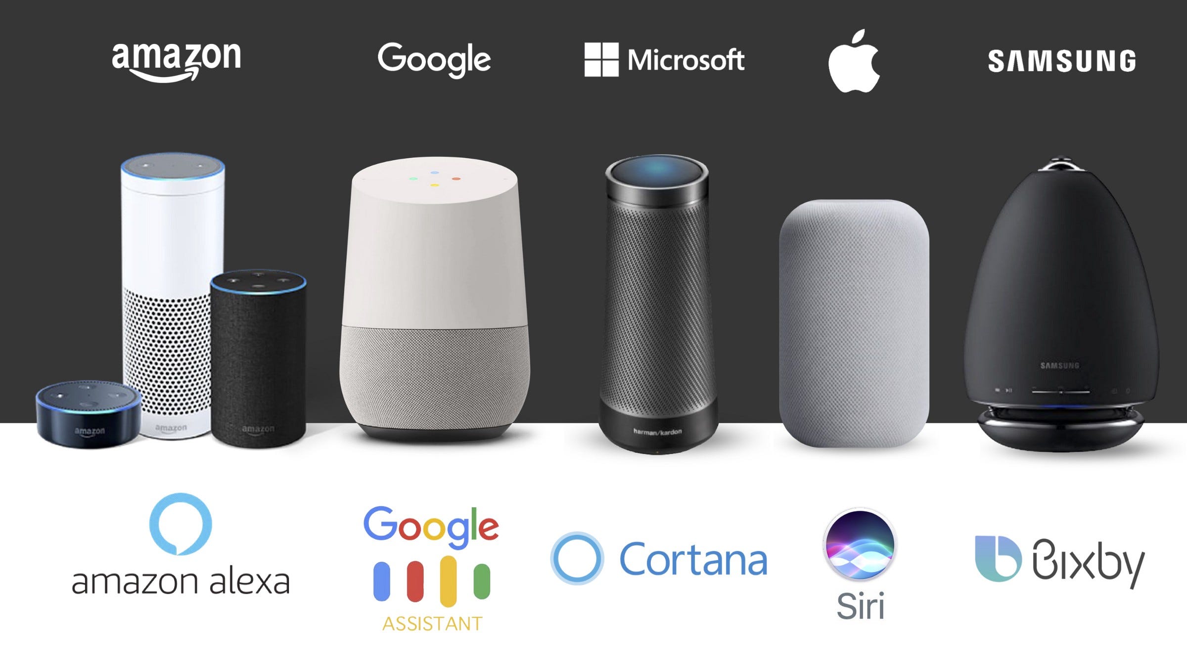 Siri Alexa Google Hotsell, 60% OFF | www.ingeniovirtual.com