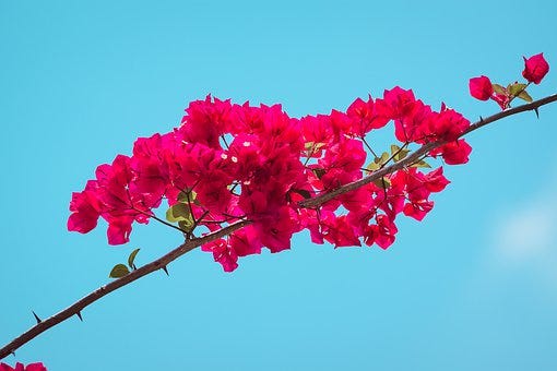 Image for post