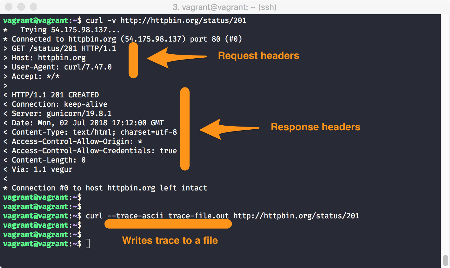 Komut satırı HTTP aracı -cURL 6 – Komut satırı HTTP aracı -cURL Komut satırı HTTP aracı -cURL 6 – 1*AQ9ERsAd5g4GkmKZPXT8ew