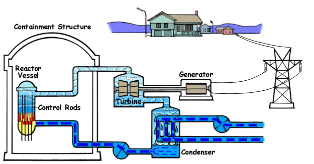 Boiling Water Reactor (BWR)