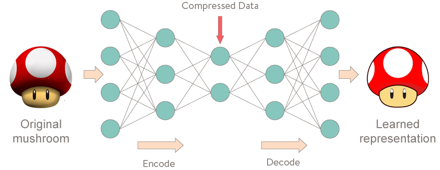 Image result for autoencoder