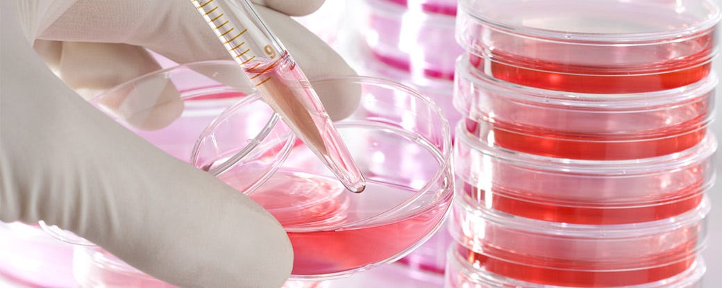 Image result for cellular agriculture serum