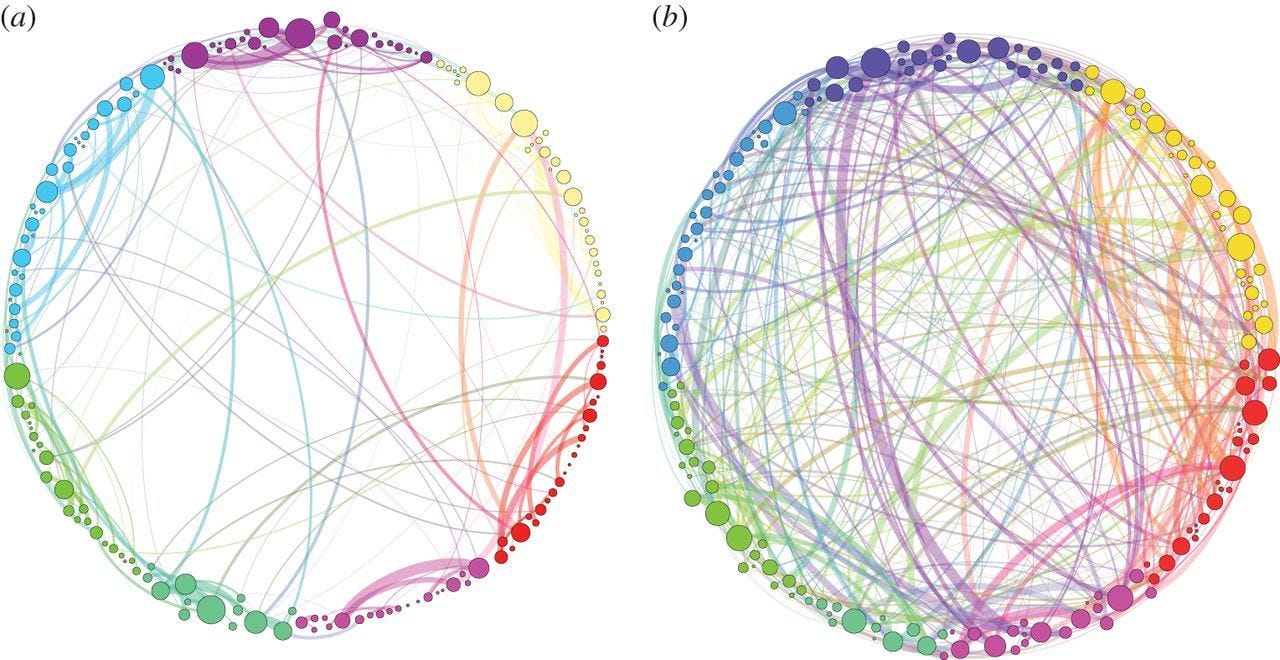 Homological scaffolds of brain functional networks, Volume: 11, Issue: 101, DOI: (10.1098/rsif.2014.0873)