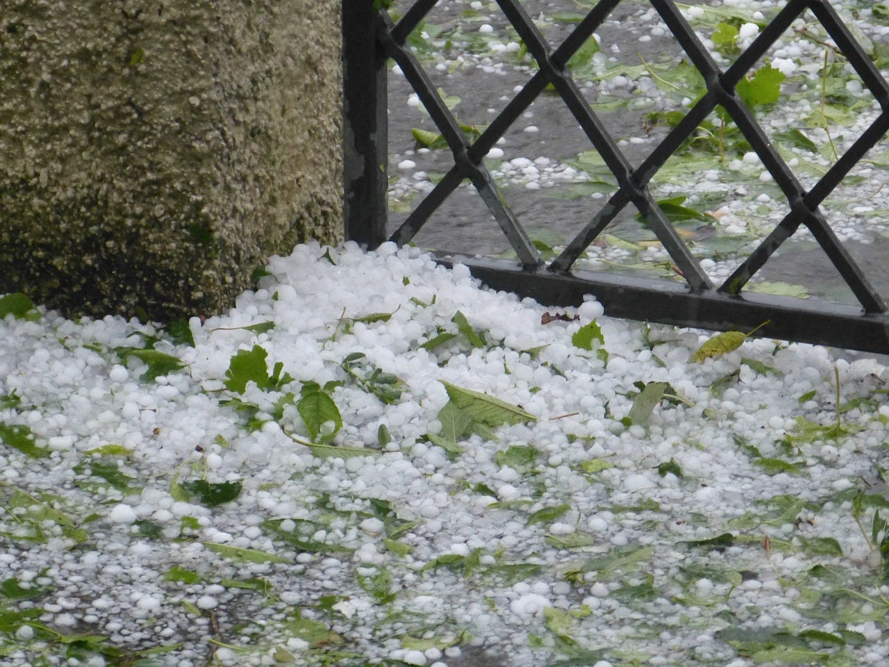Hagelbui in de tuin