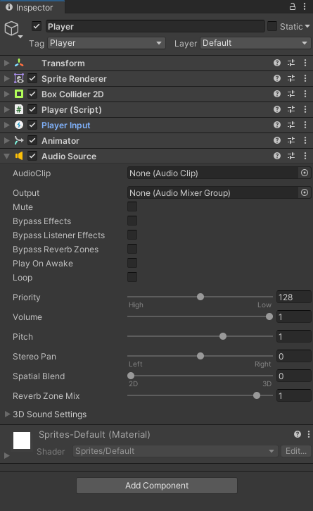 Player Audio Source