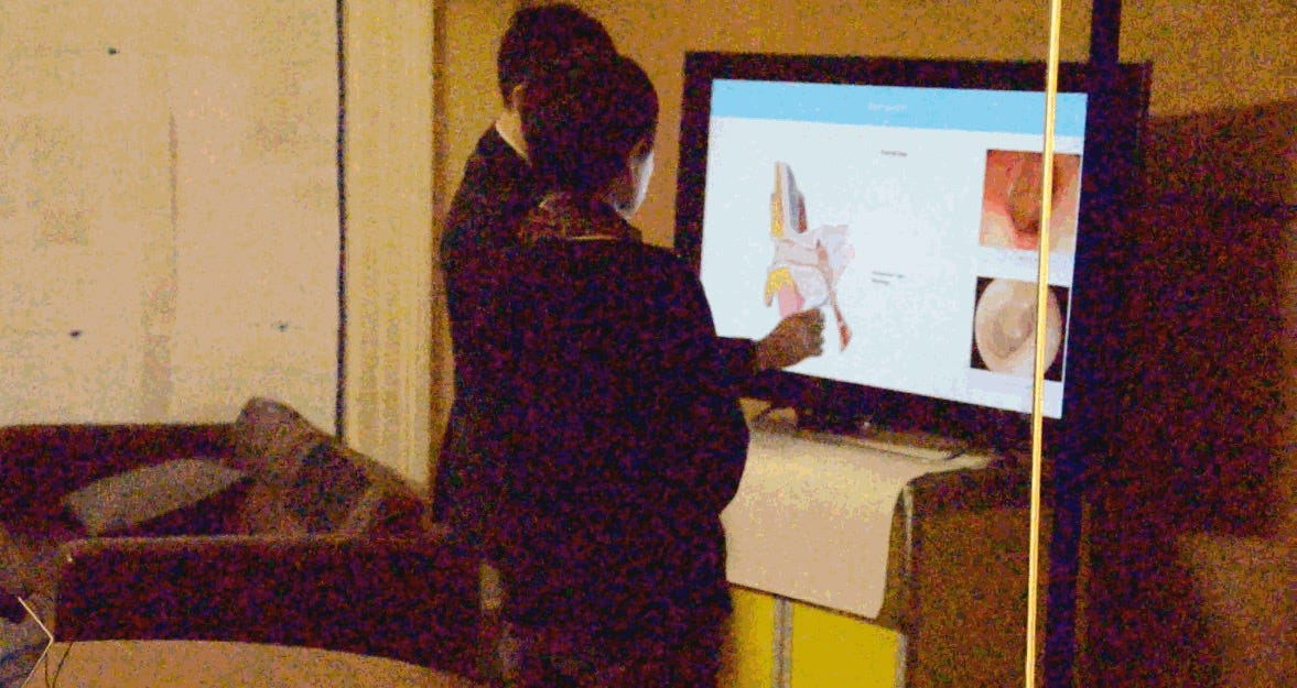 The prototype consult in action (apologies for quality)