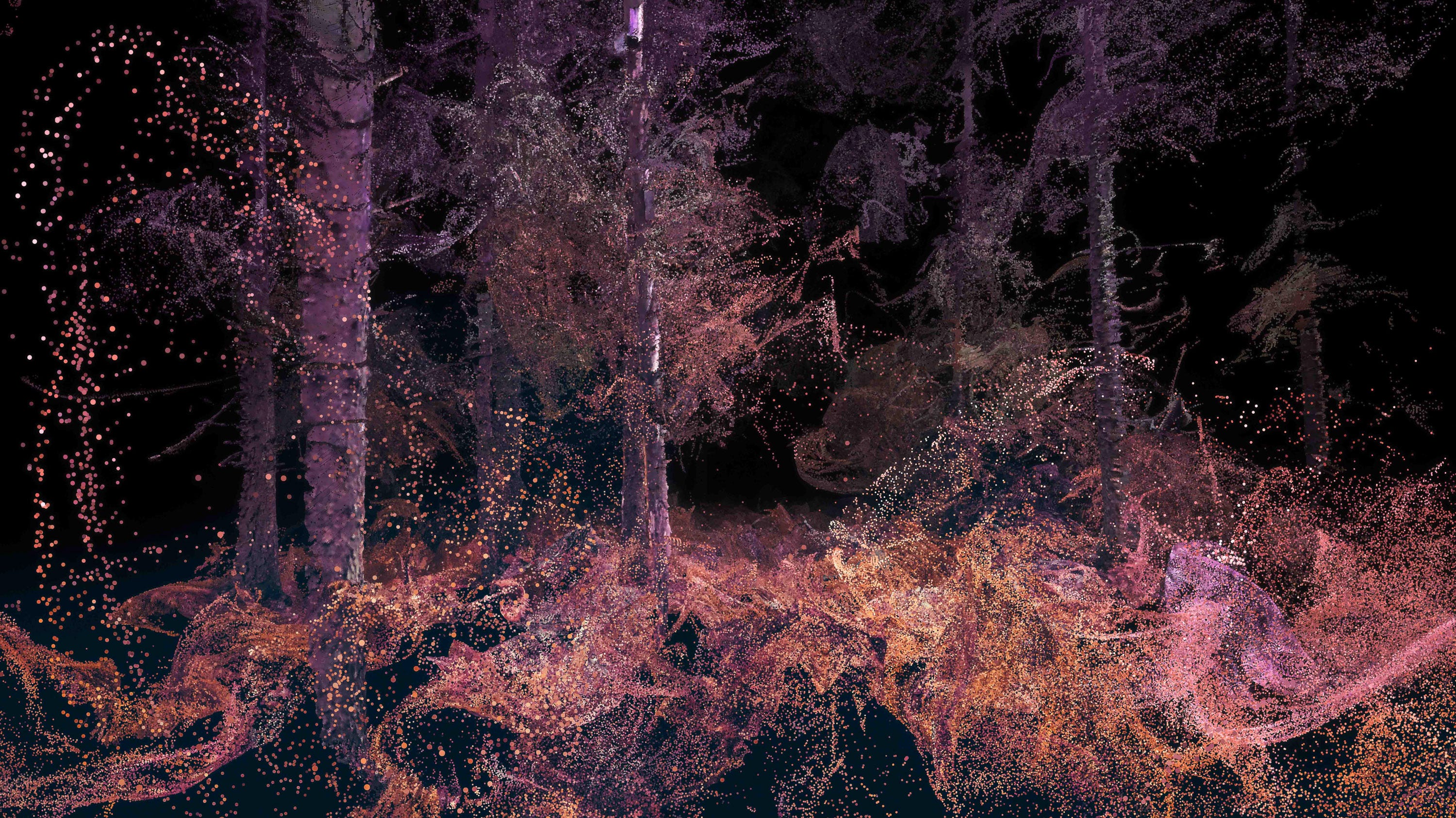 Image: Ersin Han Ersin / Marshmallow Laser Feast