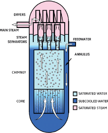 Economic Simple BWR. A BWR reactor with passive cooling