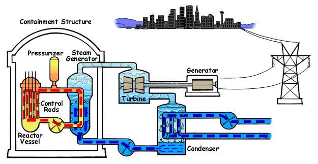 Pressurized Water Reactor (PWR)