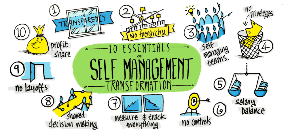 10 Components that Successfully Abolished Hierarchy (in 70+ companies)