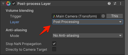 Main Camera Post Processing Layer