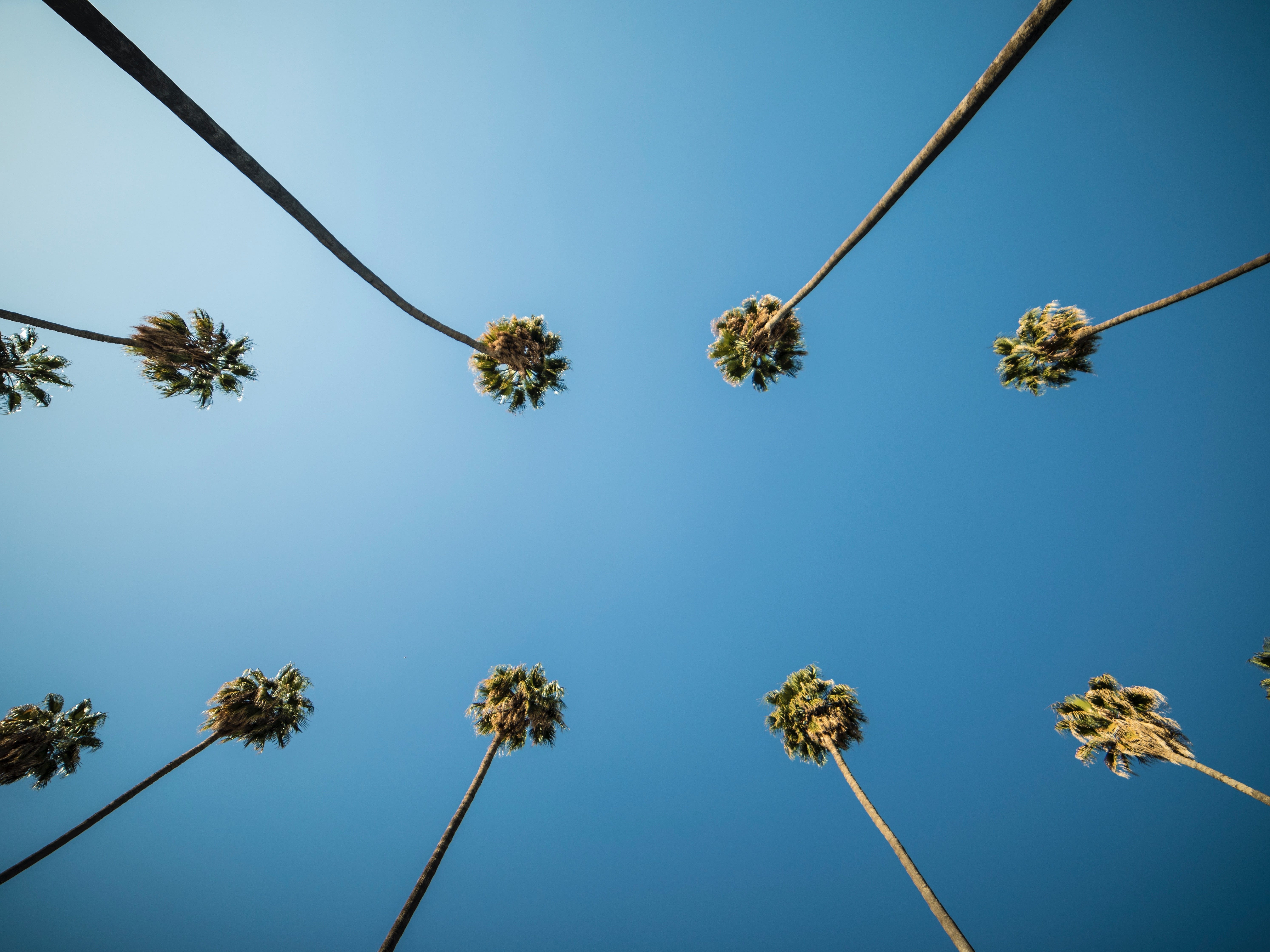 Photo by Joseph Ngabo on Unsplash