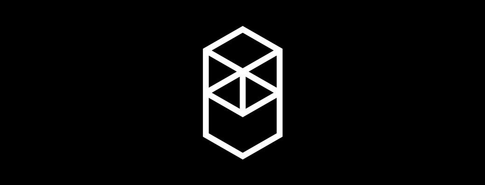 Image result for fantom ico