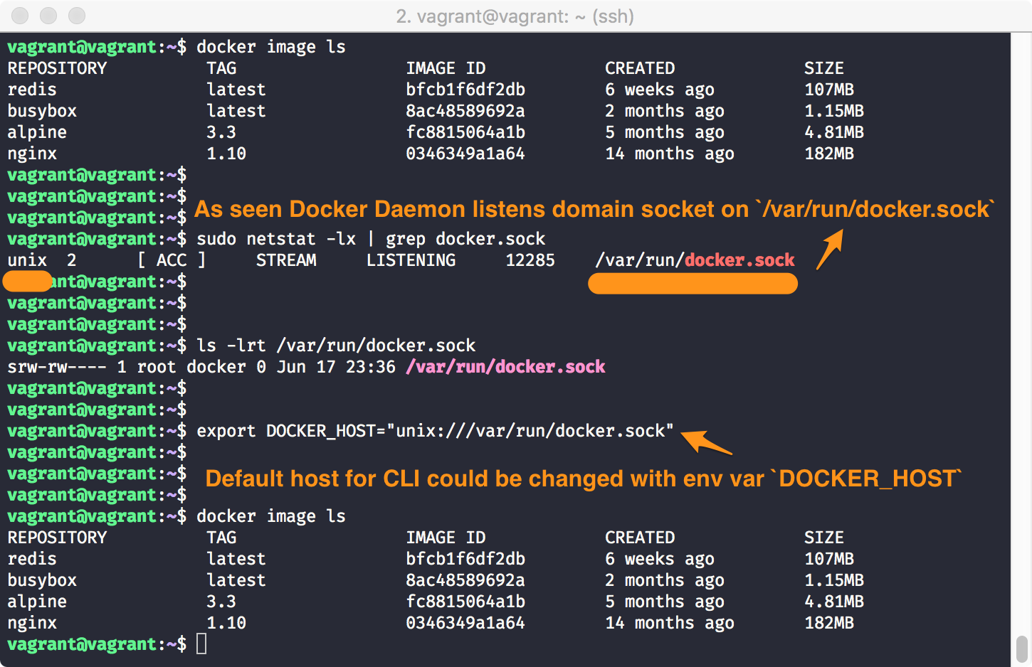 docker unix domain socket