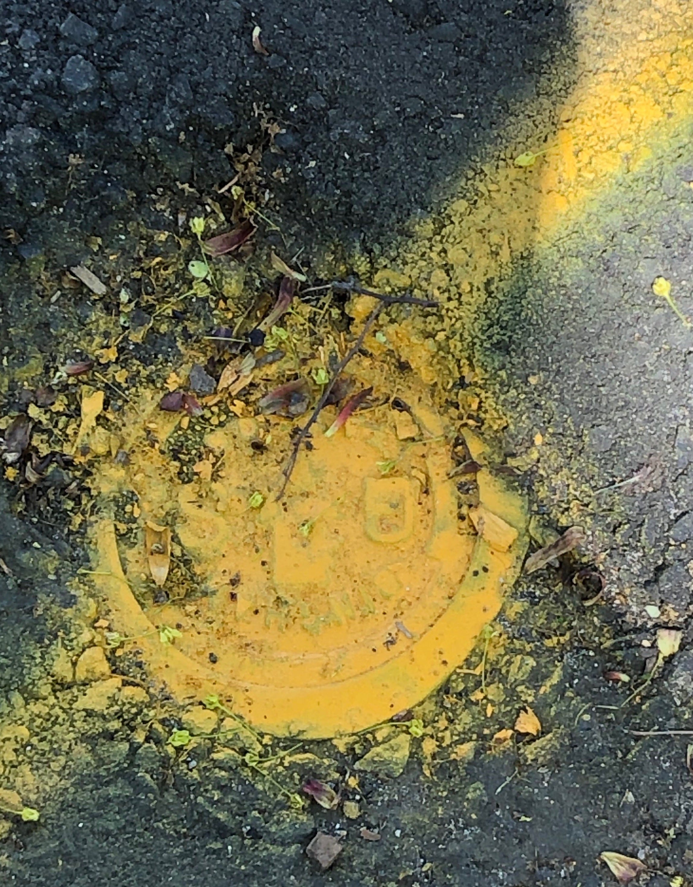 Image for post