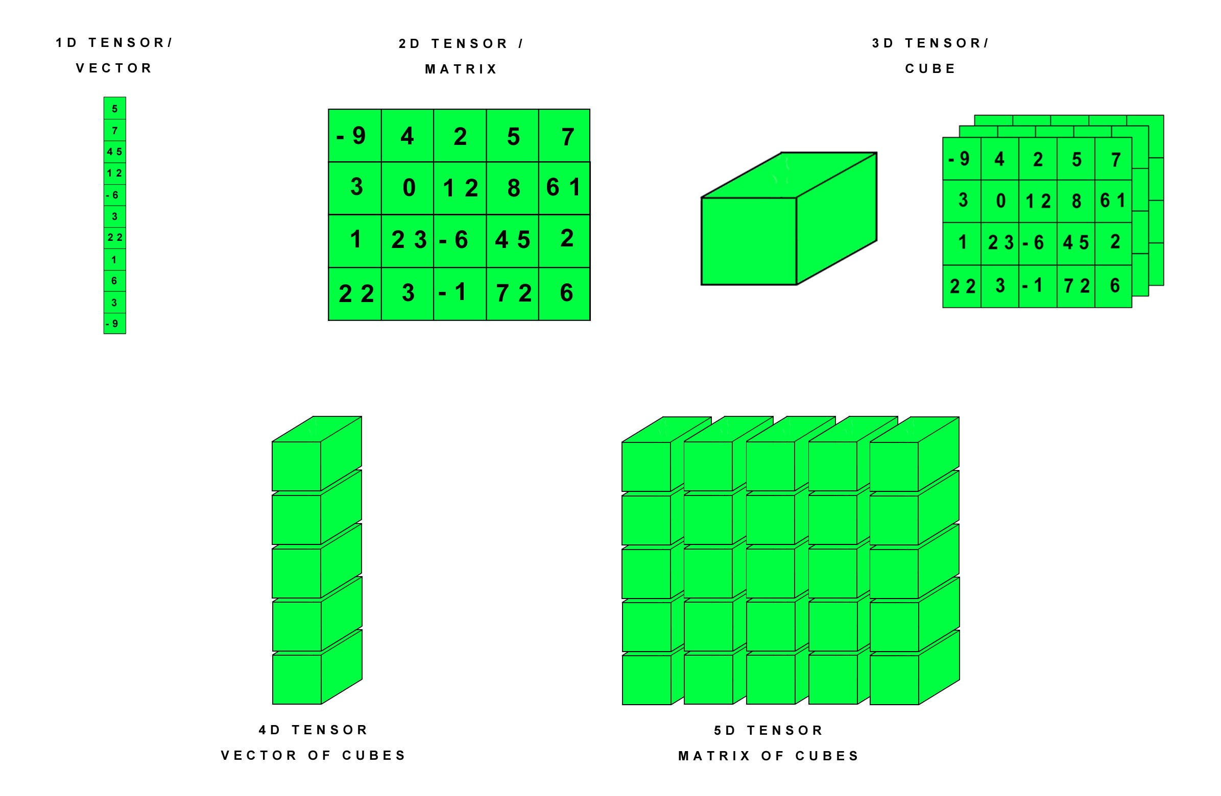 tensor permute tensor permute