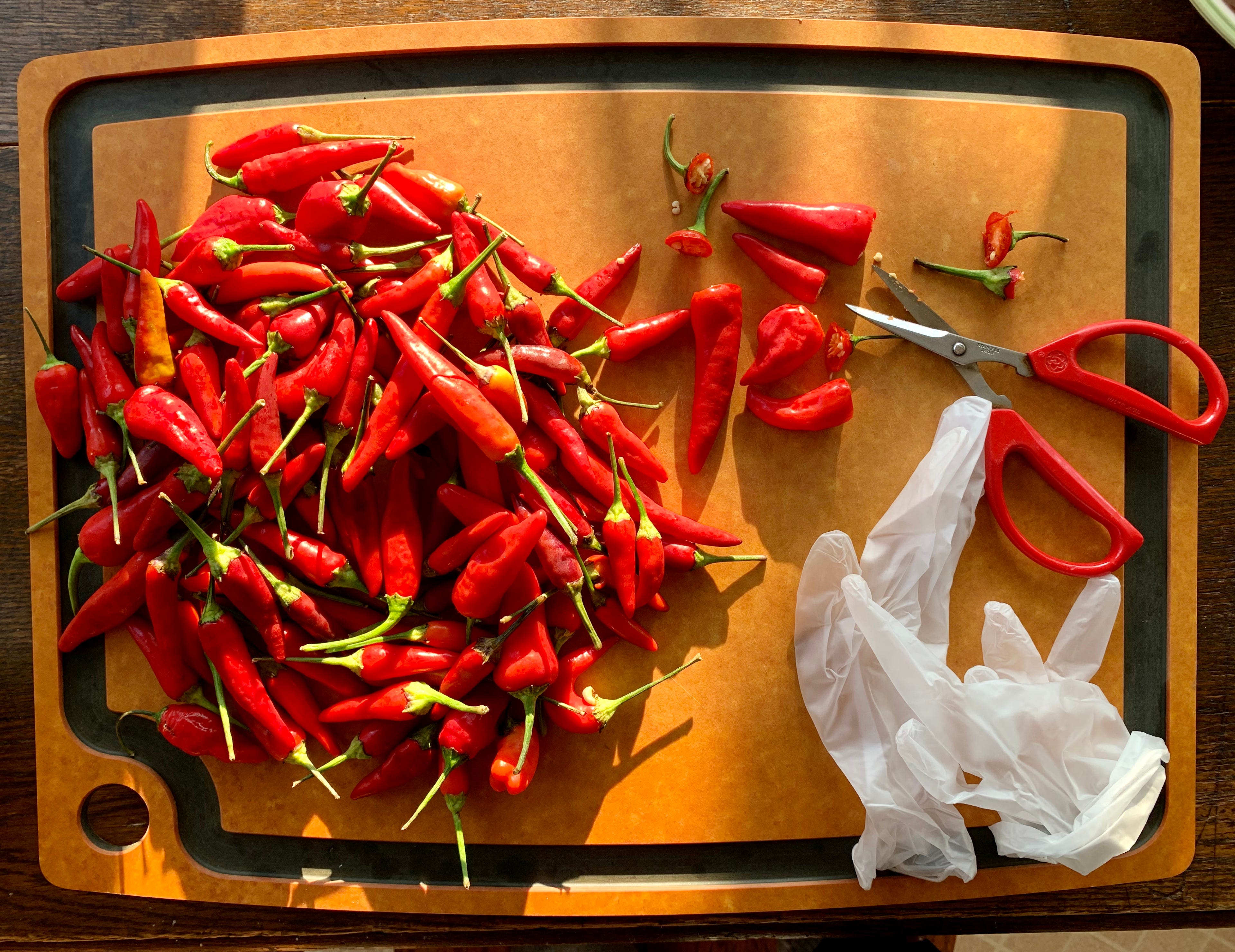 Chiles, scissors, and gloves on a cutting board.