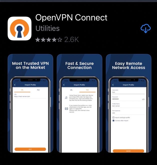 The OpenVPN client in the App Store