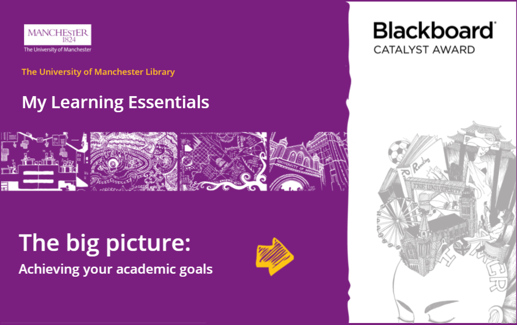 Image of ‘The big picture: achieving your academic goals’ online resource
