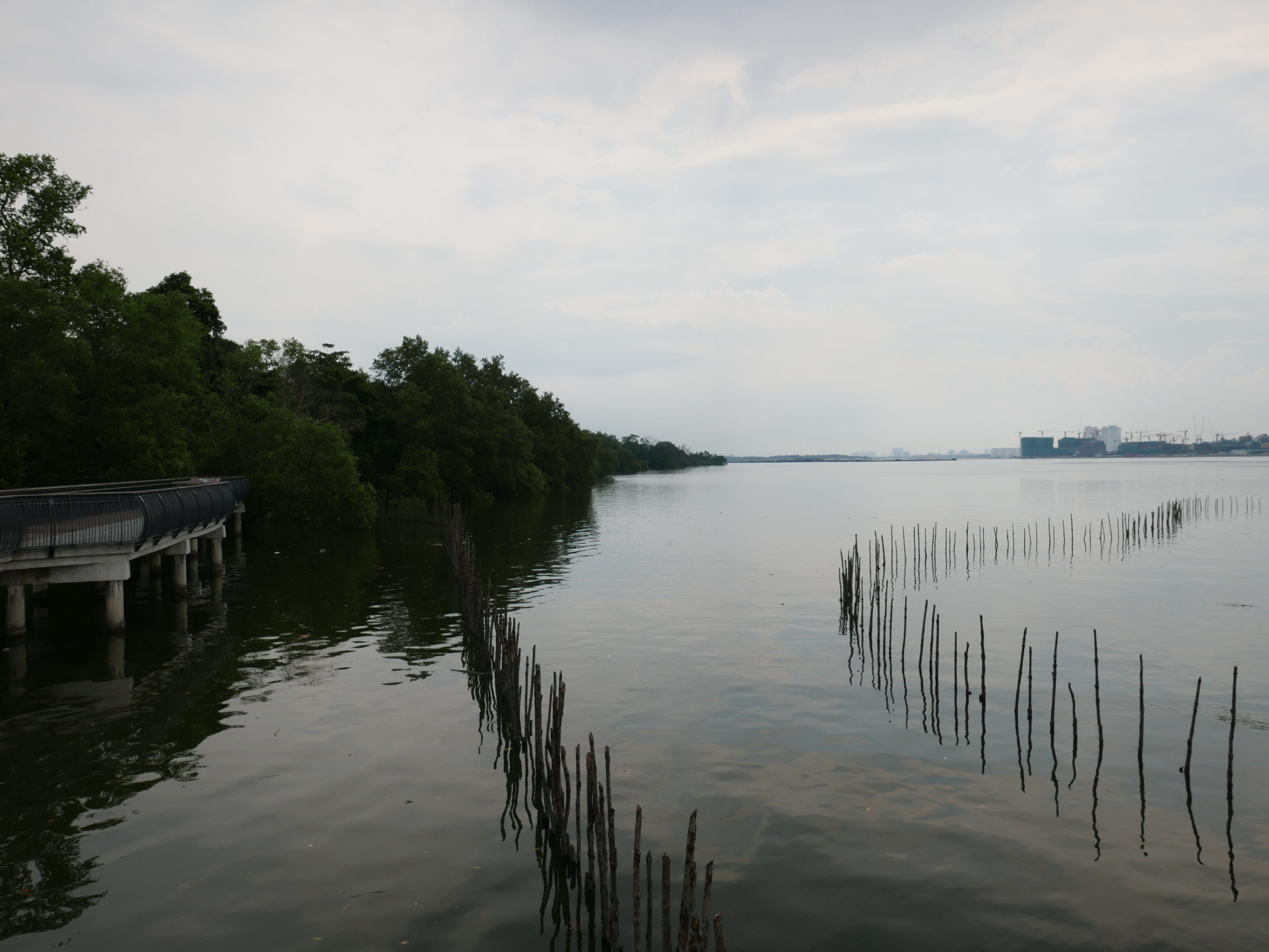 Singapore — Another visit to Sungei Buloh Wetland Reserve, Singapore by Nick’s Wanderings Singapore — Another visit to Sungei Buloh Wetland Reserve, Singapore by Nick’s Wanderings