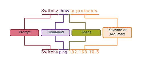 How to do Basic Configuring of Networking Devices | by Austin Greene ...