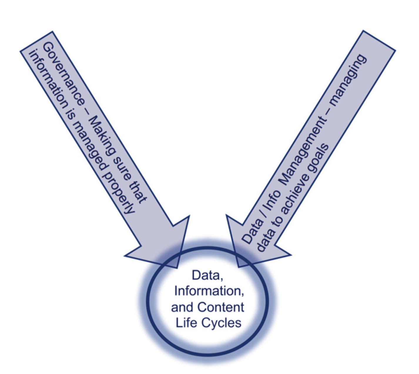 data governance V