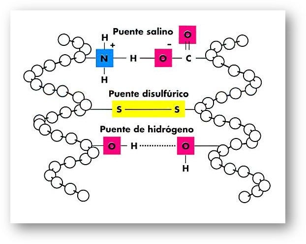 Alisados permanentes. Diferencias entre alisados químicos… | by Tec \u0026  Cabello| Desarrollo de Producto y Educación | Medium