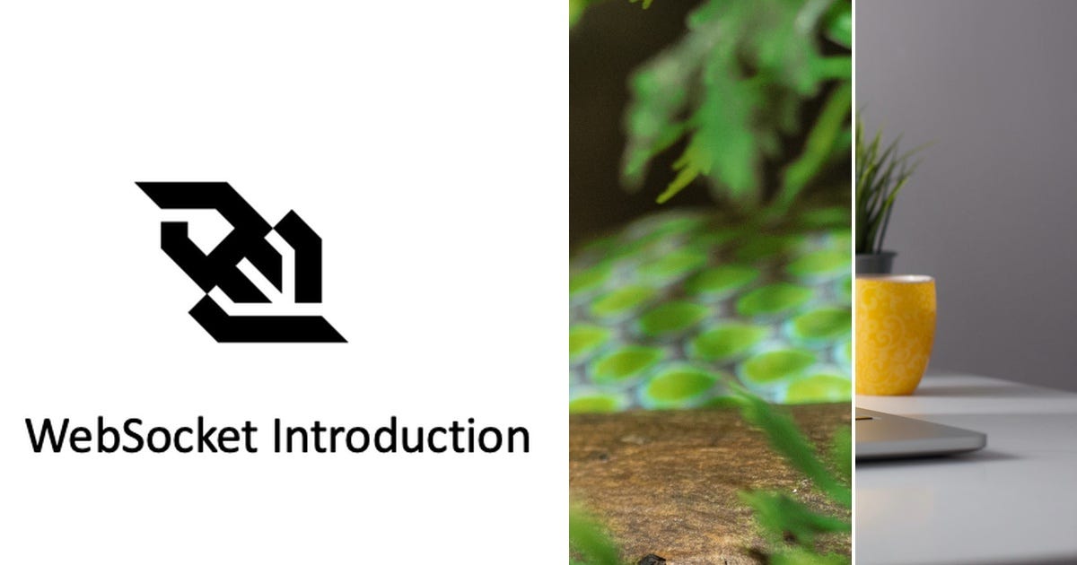 List: Python | Curated by Sacha Wharton | Medium