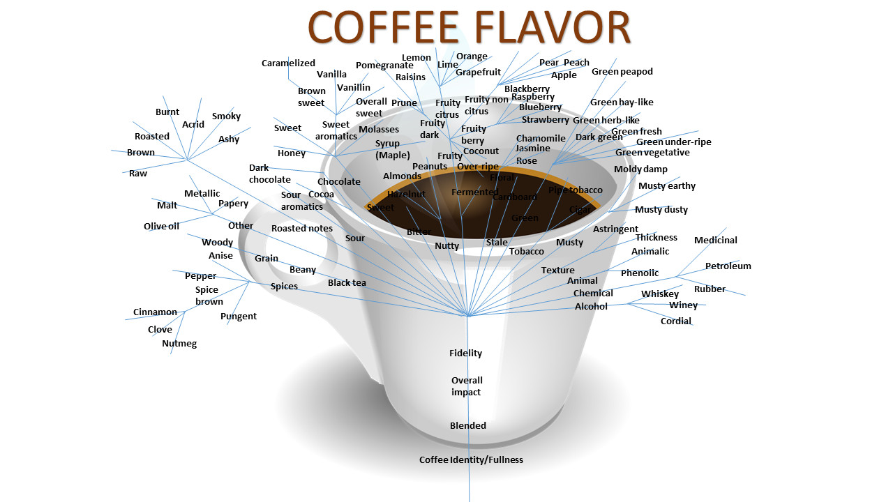 pdfcoffee.com Reviews  Read Customer Service Reviews of pdfcoffee.com
